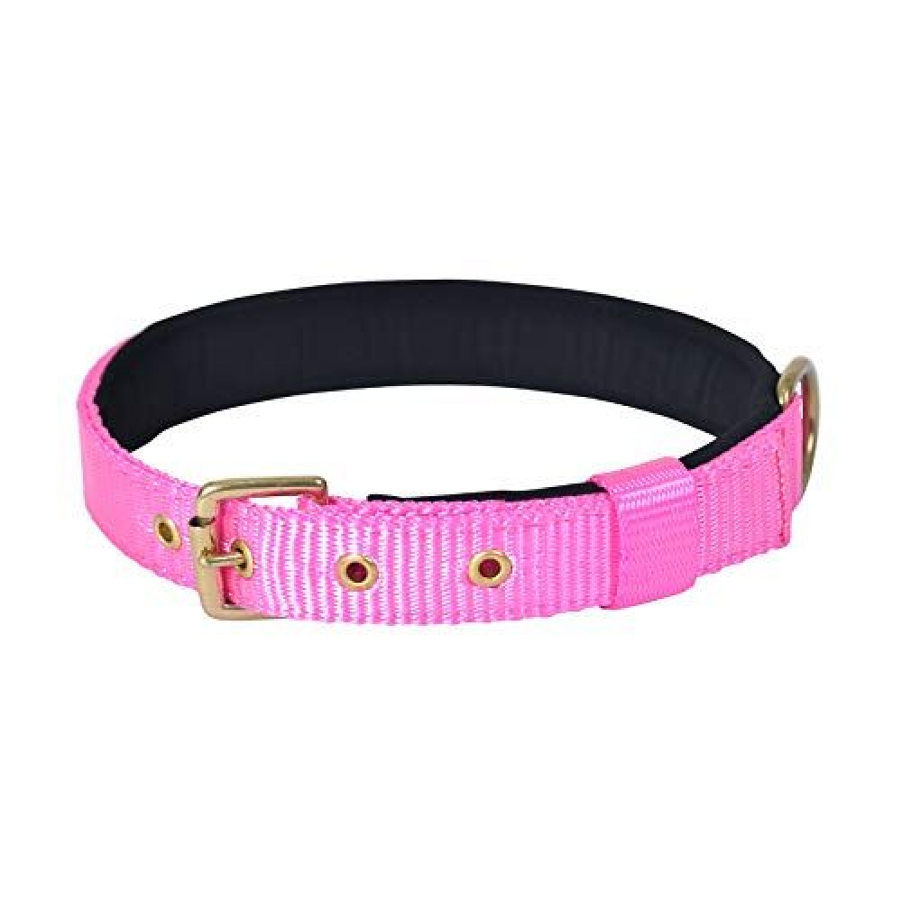 Glenand Petz Pure Nylon Padded Collar for Dogs (1 inches)