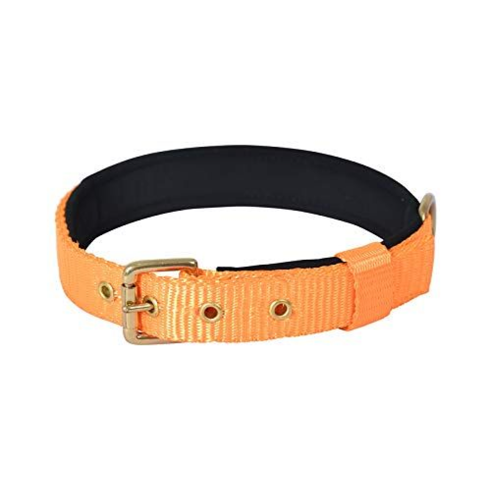 Glenand Petz Pure Nylon Padded Collar for Dogs (3/4 inches)