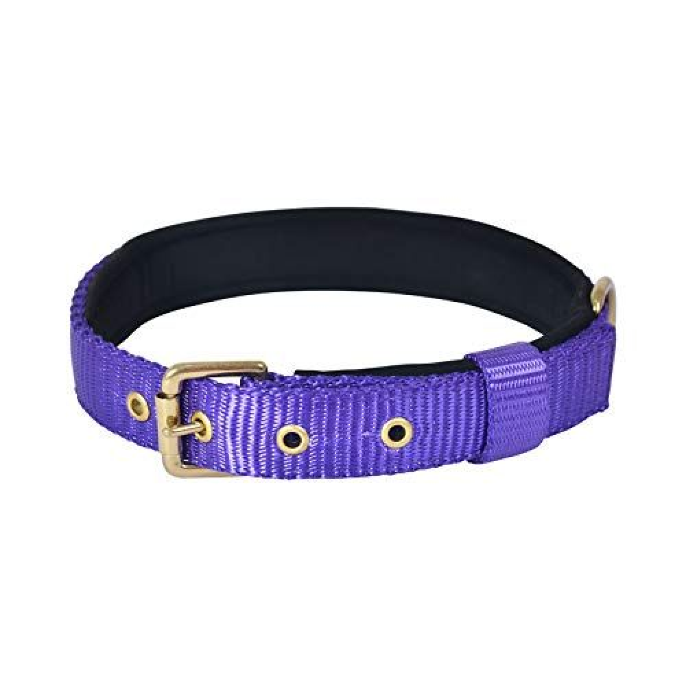 Glenand Petz Pure Nylon Padded Collar for Dogs (1 inches)