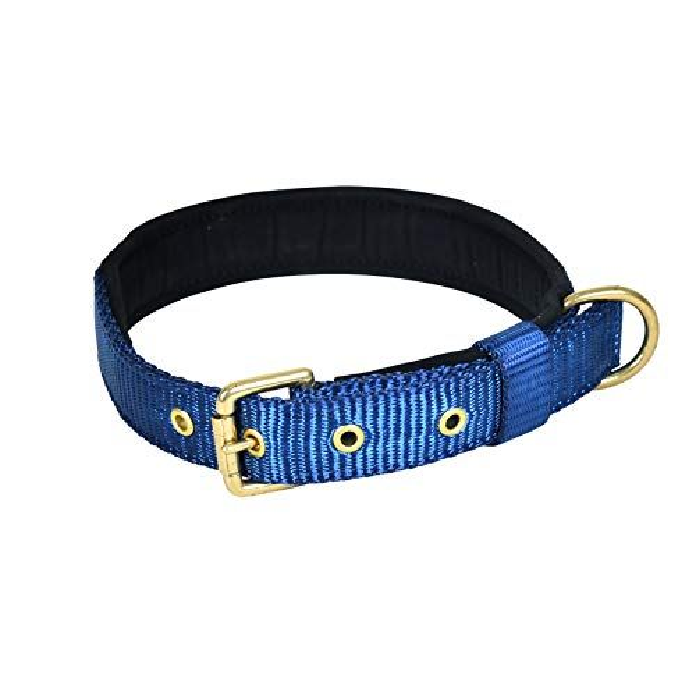 Glenand Petz Pure Nylon Padded Collar for Dogs (1 inches)