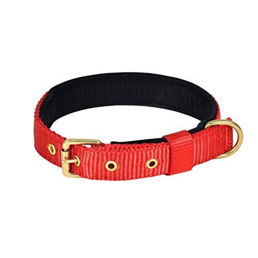 Glenand Petz Pure Nylon Padded Collar for Dogs (3/4 inches)