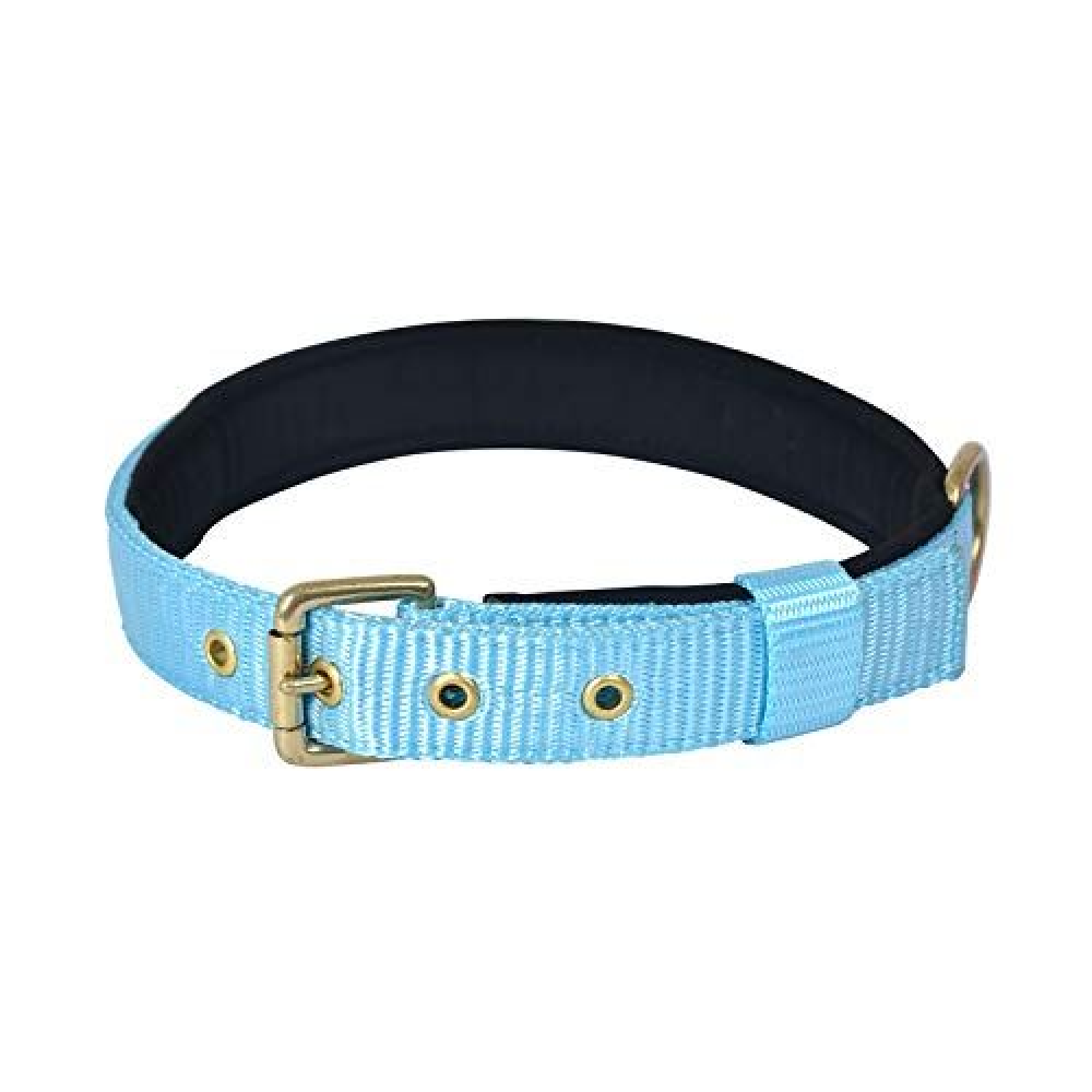 Glenand Petz Pure Nylon Padded Collar for Dogs (1 inches)
