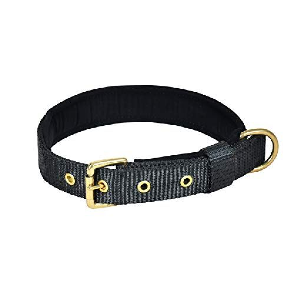 Glenand Petz Pure Nylon Padded Collar for Dogs (3/4 inches)