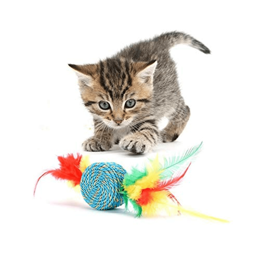 Emily Pets Turkey Hair Color Badminton Catnip Bell Ball Toy for Cats
