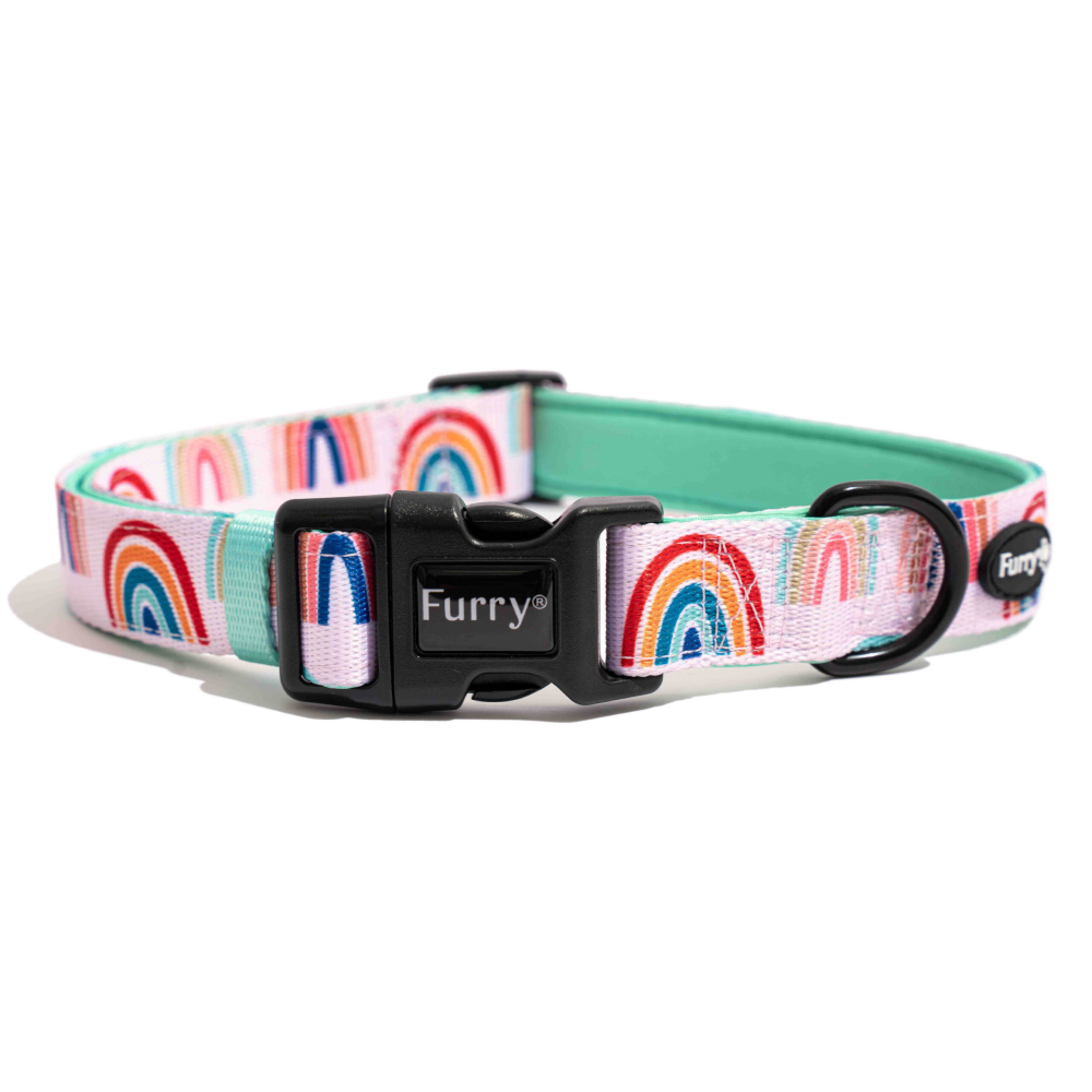 Time to Get Ready for Supertails Birthday Party! for Dogs