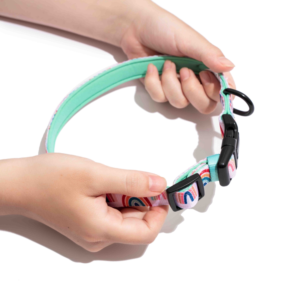 Furry & Co Raining Rainbow Comfort Collar for Dogs