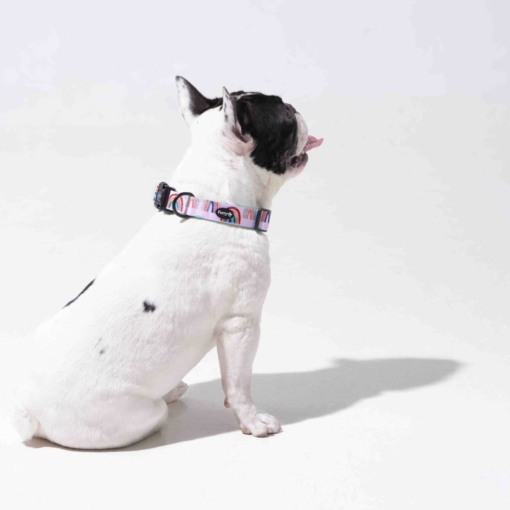 Furry & Co Raining Rainbow Comfort Collar for Dogs