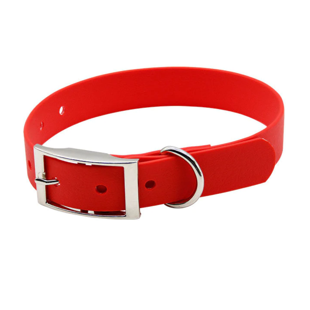 Glenand Petz Matte Finish Collar for Dogs (Red)