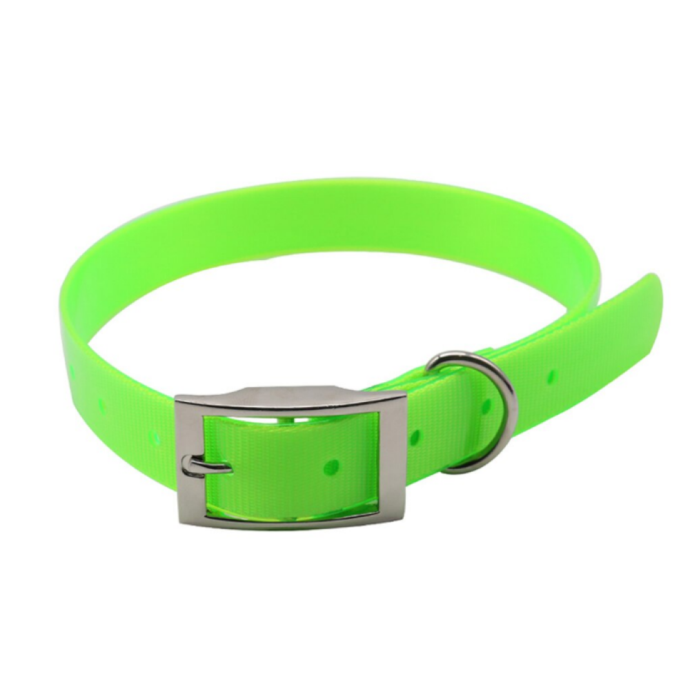 Glenand Petz Matte Finish Collar for Dogs (Green)