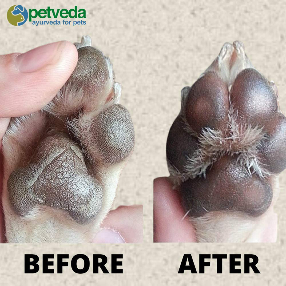 Petveda Give Paw natural Soothing Butter for Pets