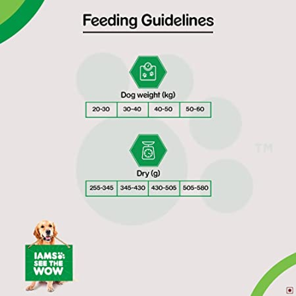 IAMS Proactive Health Adult Golden Retriever Premium Dry Dog Food with Container