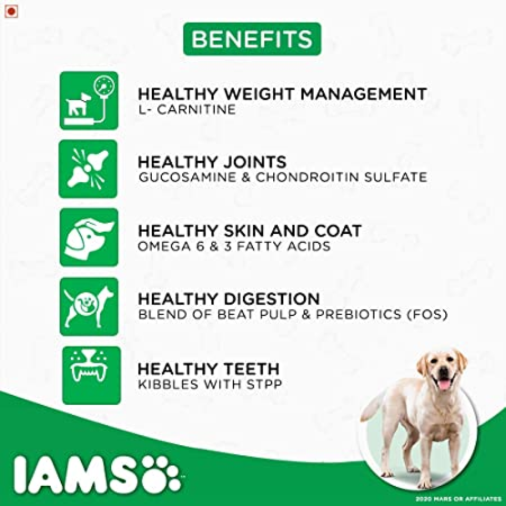 IAMS Proactive Health Adult Labrador Retriever Premium Dry Dog Food with Container