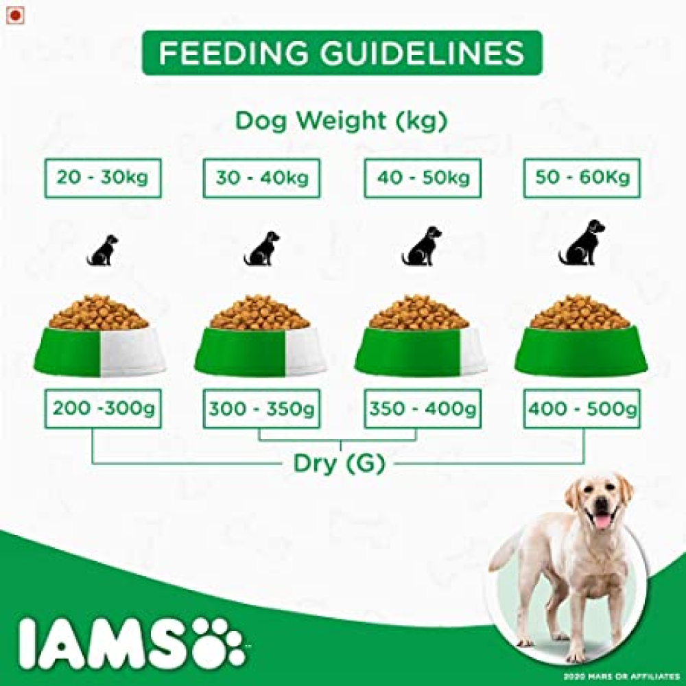 IAMS Proactive Health Adult Labrador Retriever Premium Dog Dry Food