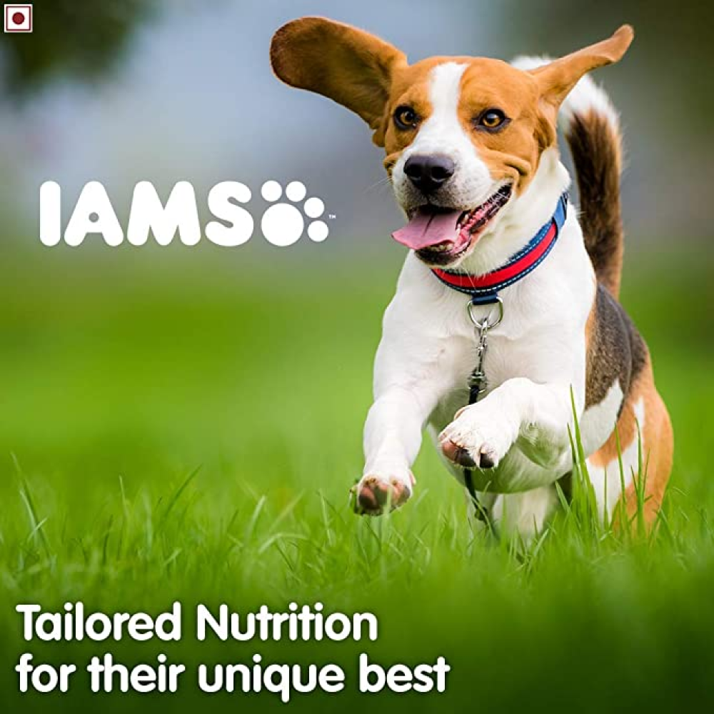 IAMS Proactive Health Adult Small & Medium Breed Dog Dry Food