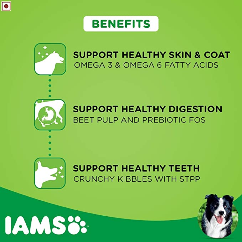 IAMS Proactive Health Adult Small & Medium Breed Dog Dry Food with Container