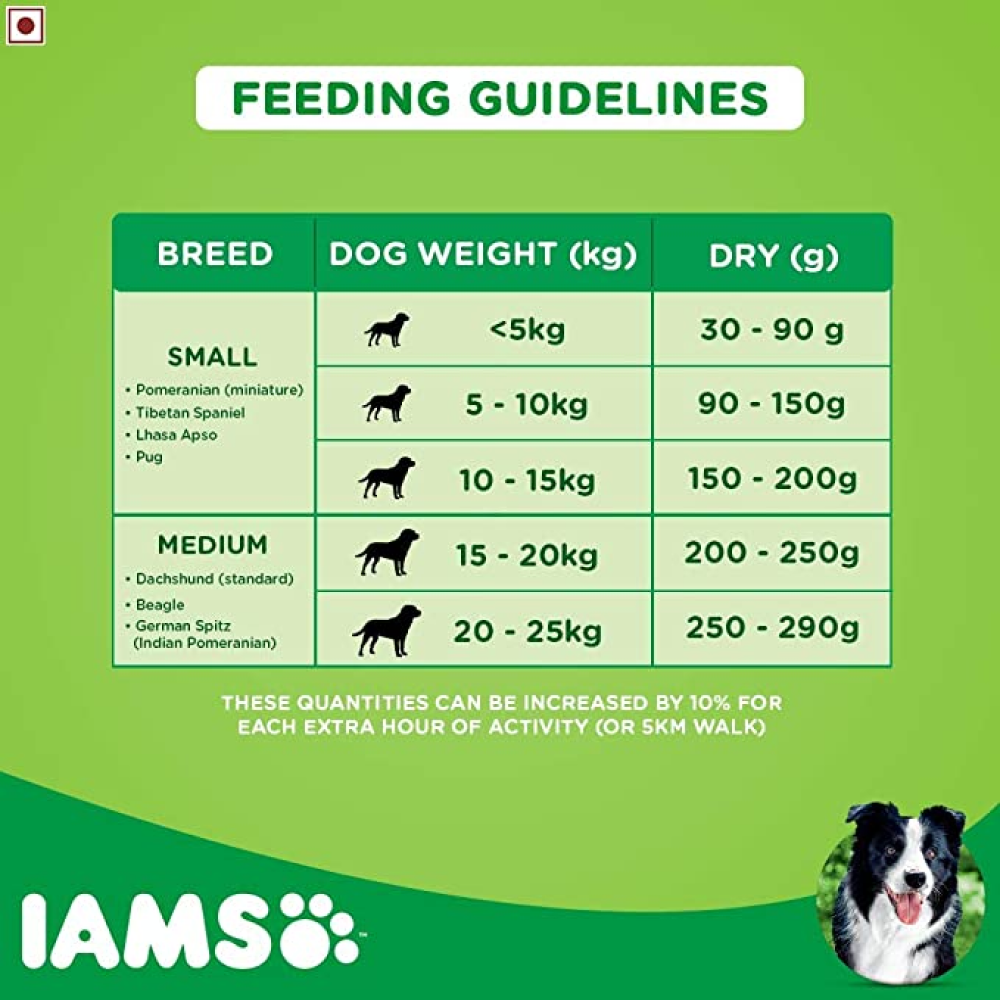 IAMS Proactive Health Adult Small & Medium Breed Dog Dry Food with Container