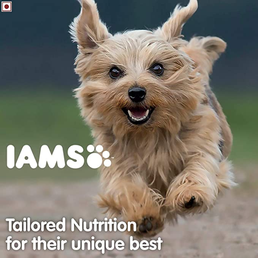 IAMS Proactive Health Smart Small & Medium Breed Puppy Dry Food with Container