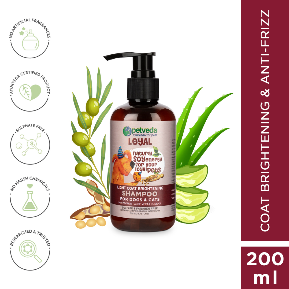 Petveda Loyal Light Coat Brightening Anti-frizz Shampoo for Pets