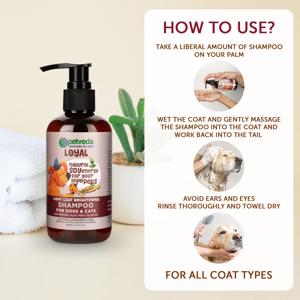Petveda Loyal Light Coat Brightening Anti-frizz Shampoo for Pets