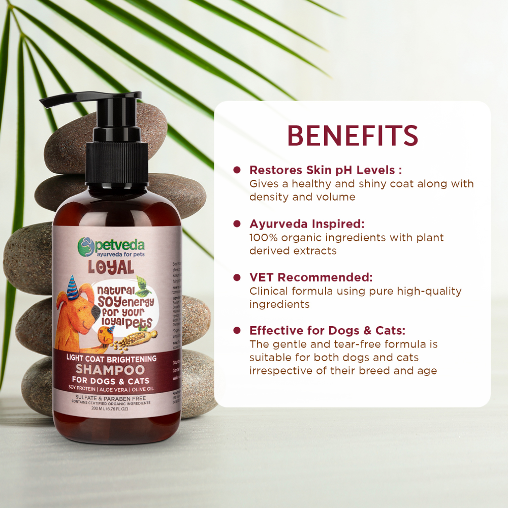 Petveda Loyal Light Coat Brightening Anti-frizz Shampoo for Pets (Buy 1 Get 1 Free)
