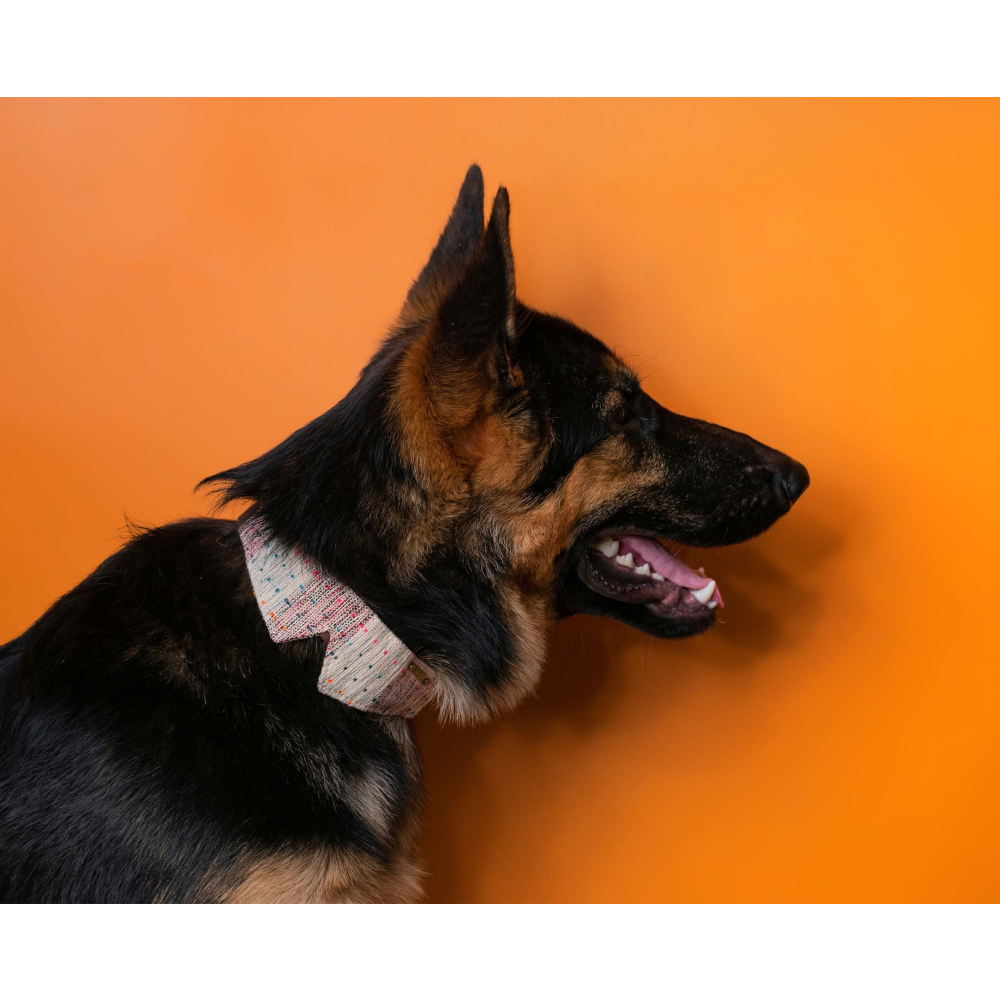 IndieGood Handloom Cotton Premium Coco Collar for Dogs