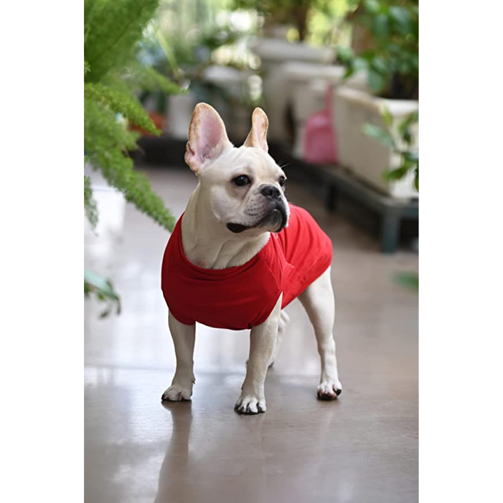 Mutt of Course Sheldon Pooper T-Shirt For Dogs