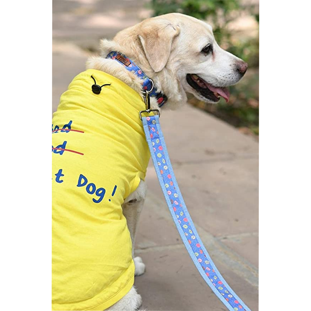 Mutt of Course Raining Donuts Leash for Dogs