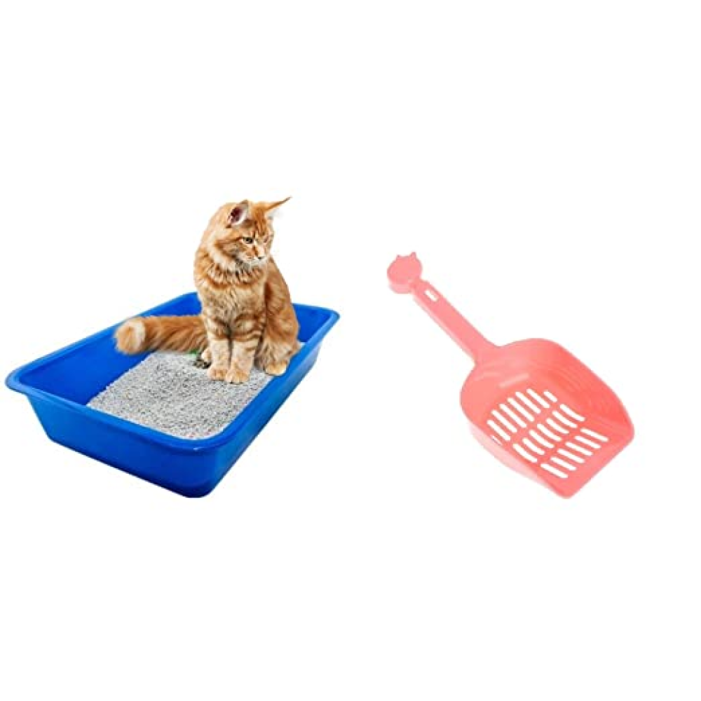 Petcrux Exclusive Cat Litter Tray & Litter Scooper Multicolor (Assorted)