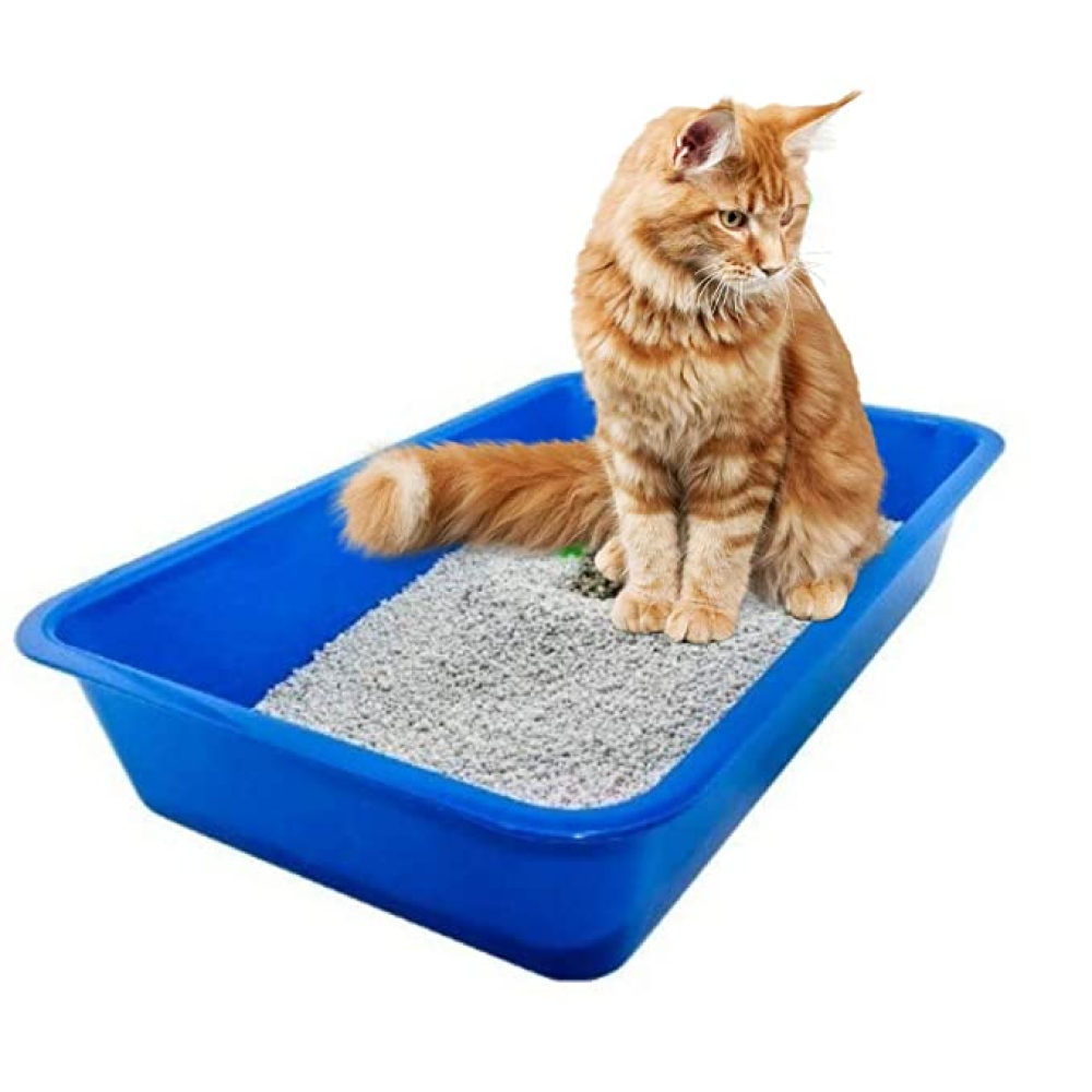 Petcrux Exclusive Multicolour Cat Litter Tray