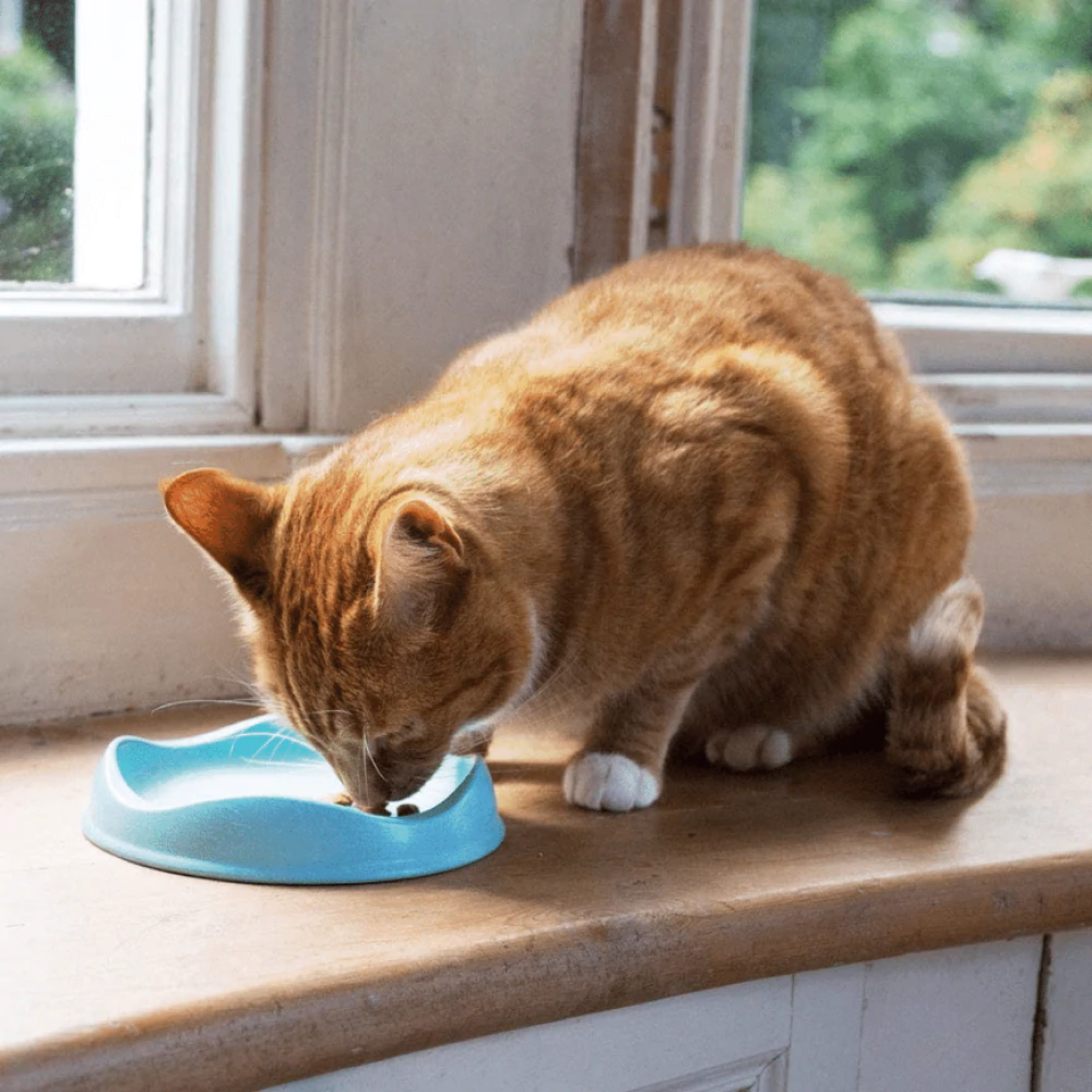 Beco Bowl for Cats