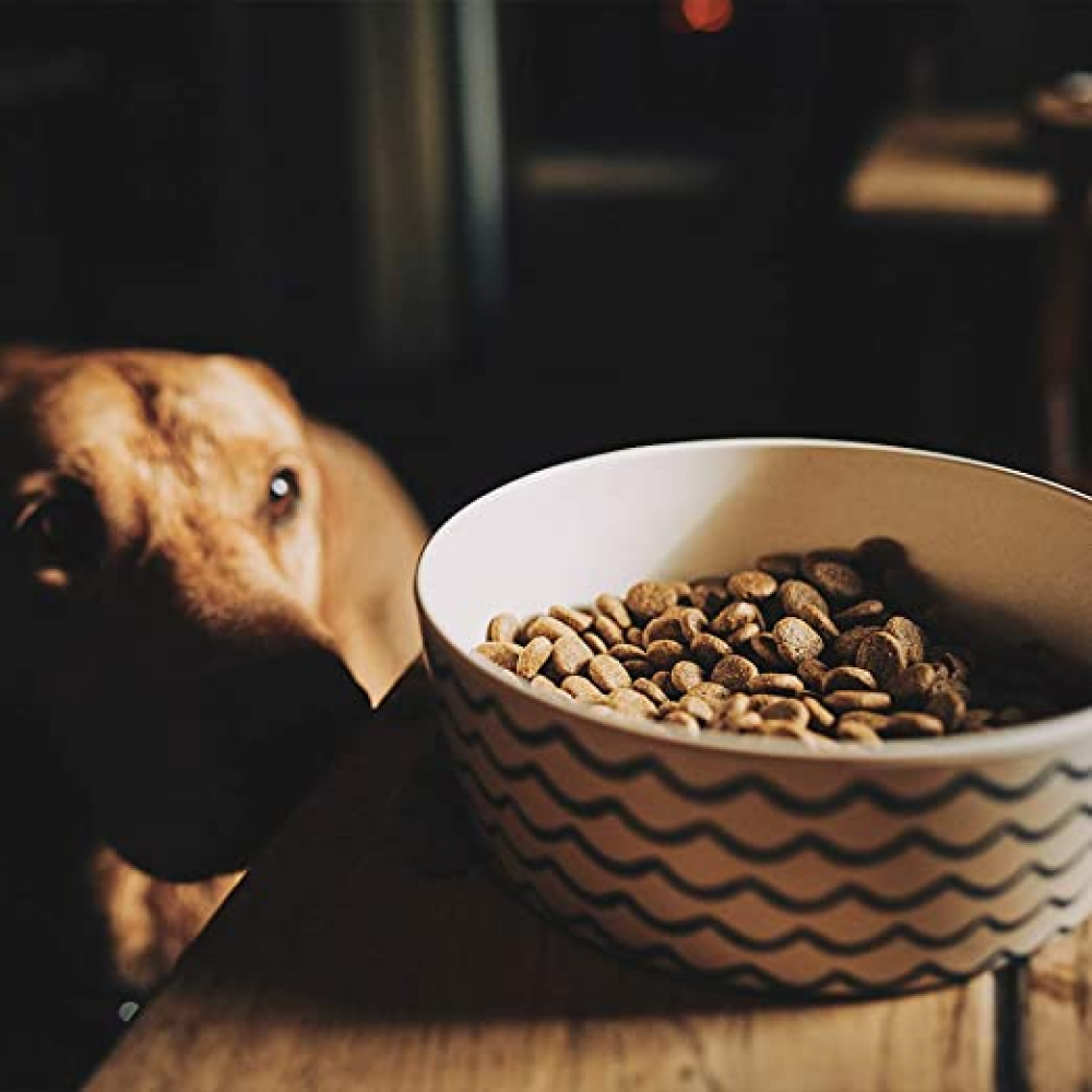 Beco Wave Bowl for Dogs