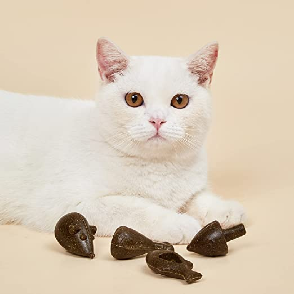 Fofos Super Catnip Spin Toy for Cats