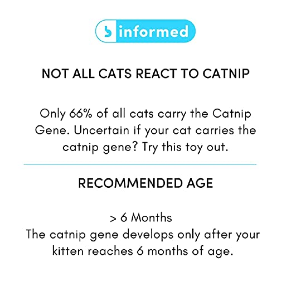 Fofos Super Catnip Spin Toy for Cats