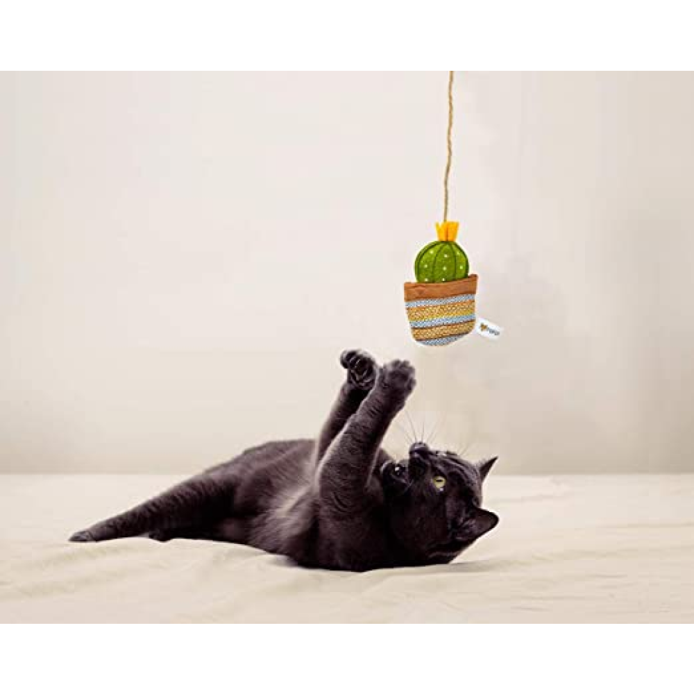 Fofos Cactus Wand EL Paso Toy for Cats