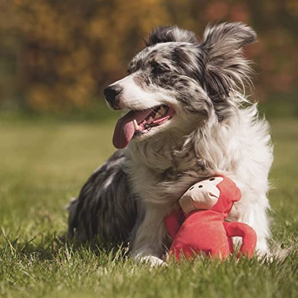 Beco Monkey Shaped Plush Toy for Dogs