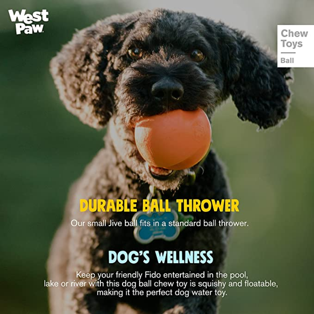 West Paw Design Jive for Dogs (Aqua)