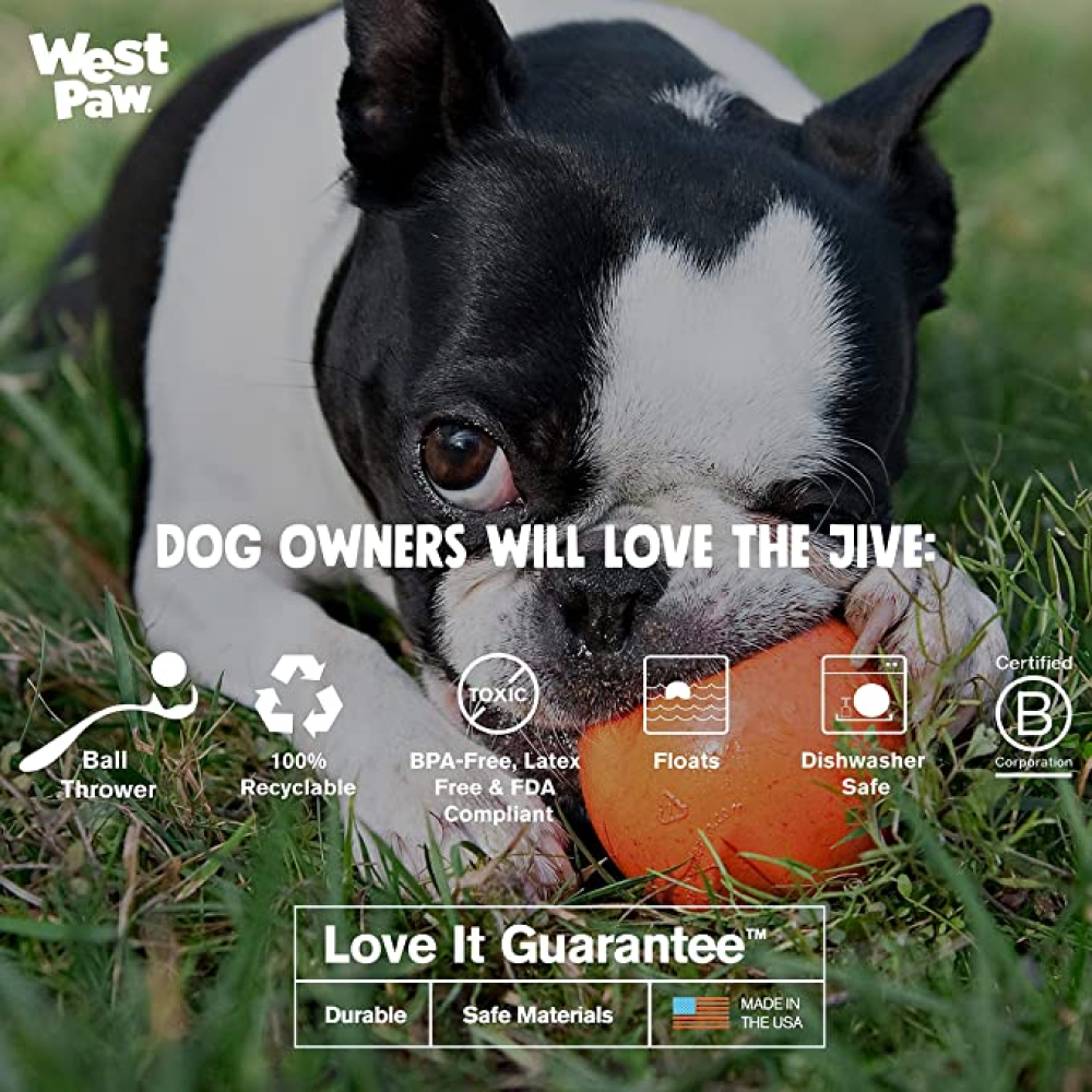 West Paw Design Jive for Dogs (Aqua)