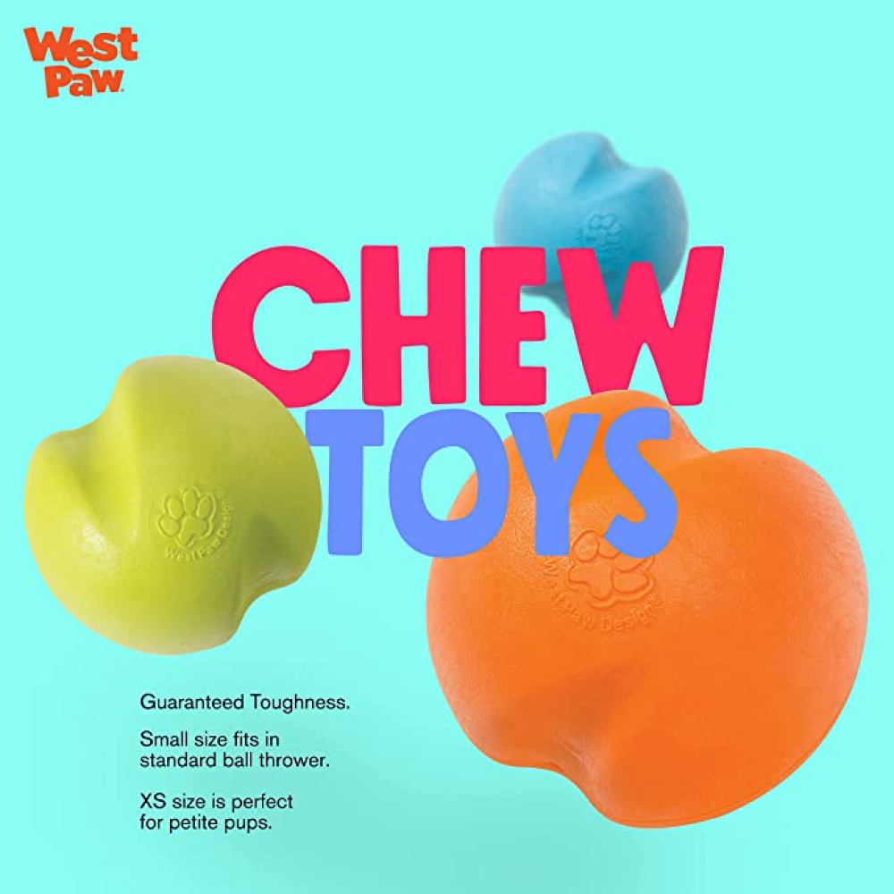 West Paw Design Jive for Dogs (Aqua)