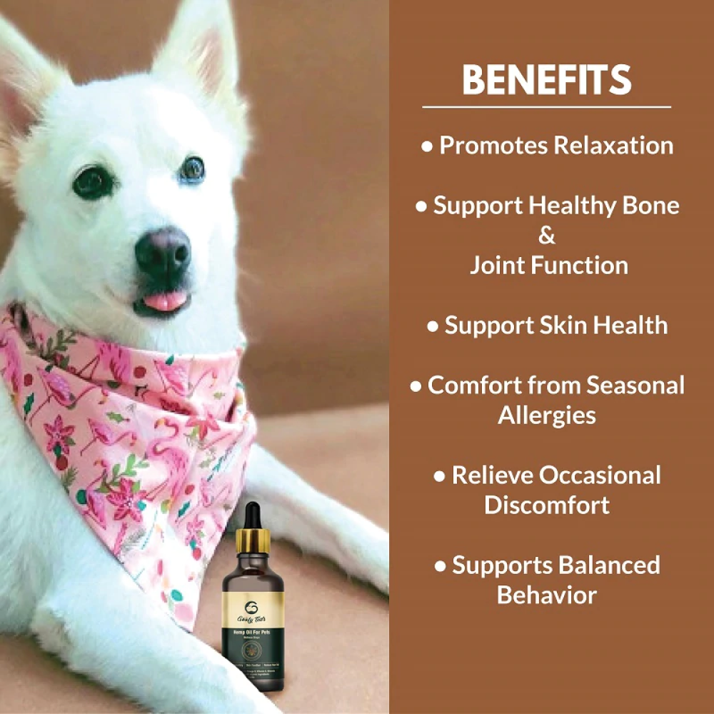 Goofy Tails Hemp Oil for Pets