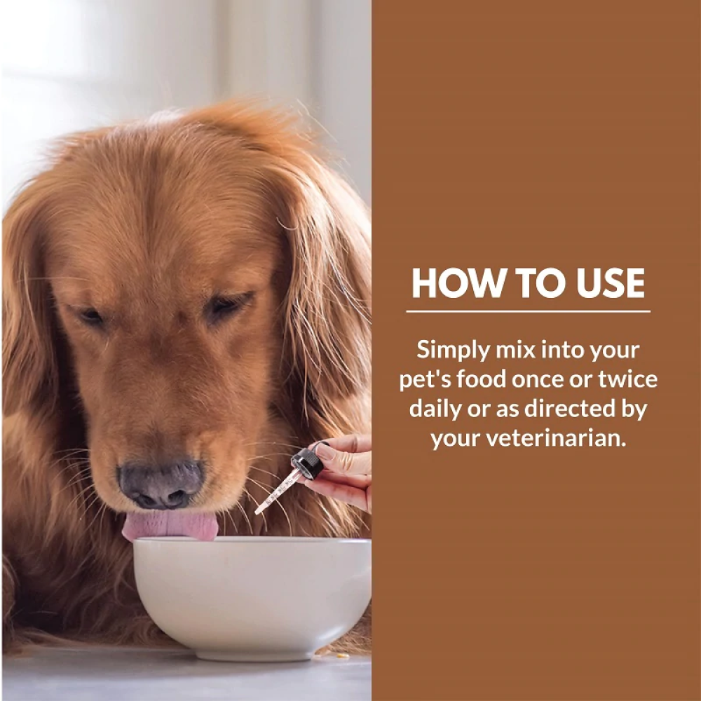 Goofy Tails Hemp Oil for Pets