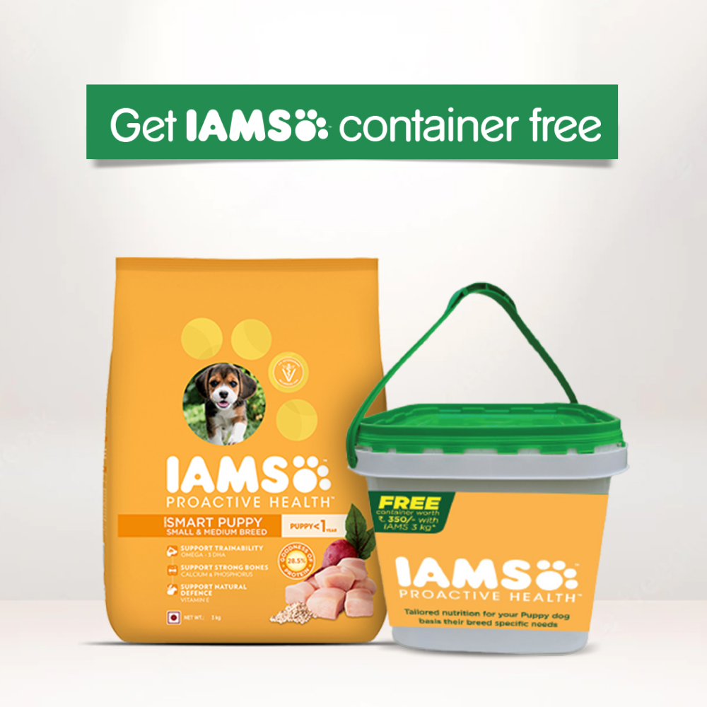 IAMS Proactive Health Smart Small & Medium Breed Puppy Dry Food with Container