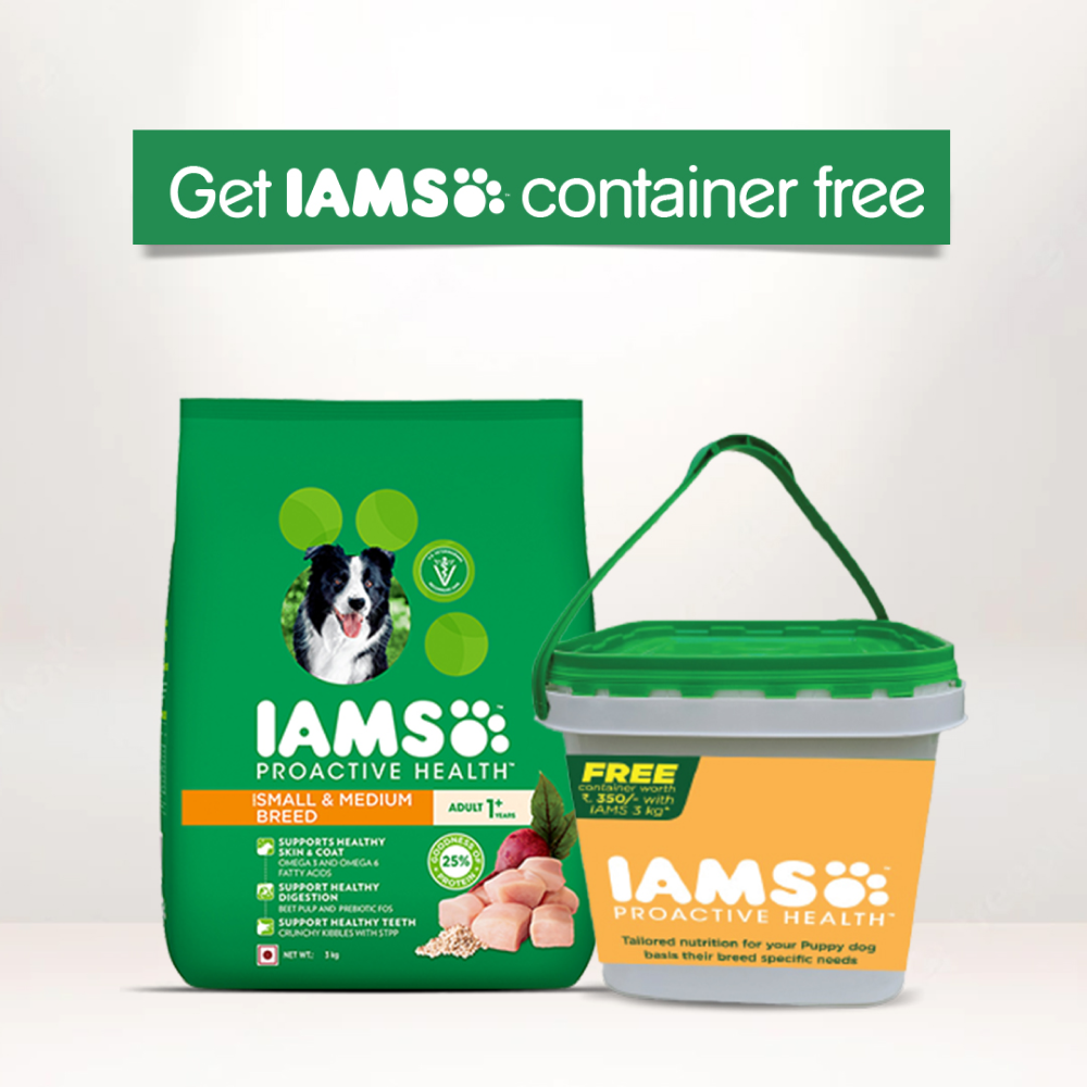 IAMS Proactive Health Adult Small & Medium Breed Dog Dry Food with Container