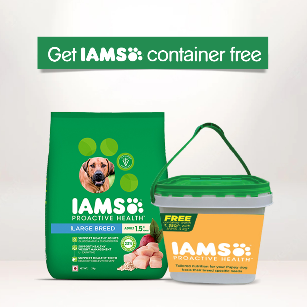 IAMS Proactive Health Adult Large Breed Dog Dry Food with Container