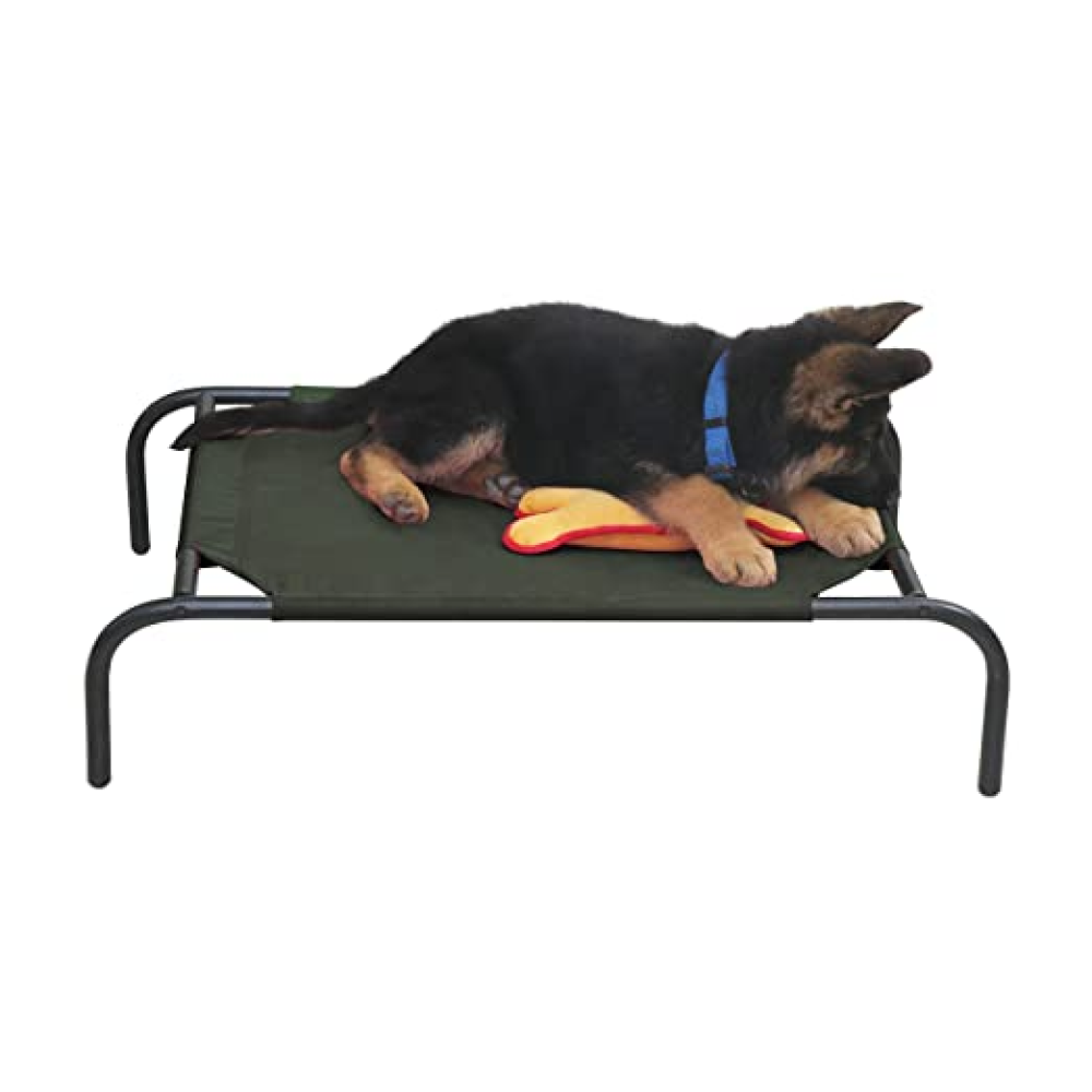 Hiputee Green Lining Elevated Bed for Pets