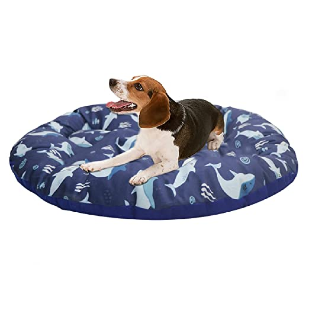 Hiputee Soft Velvet Cushion Cozy Reversible Washable Bed for Pets (Aqua Blue Fish)