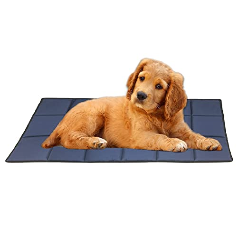 Hiputee Rectangular Shape Waterproof Polyester Fabric Flat Pad Bed (Blue)
