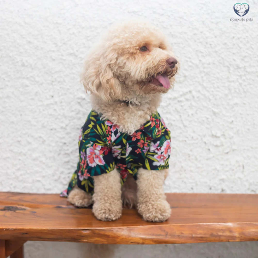 Pet And Parents (Namaste Pets) Bora Bora Floral Printed Shirt for Dogs