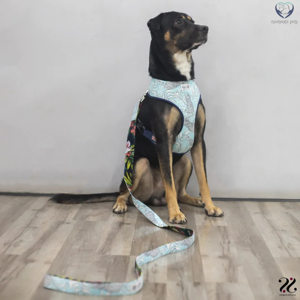 Pet And Parents (Namaste Pets) Sailing Watermelon Reversible Harness for Dogs