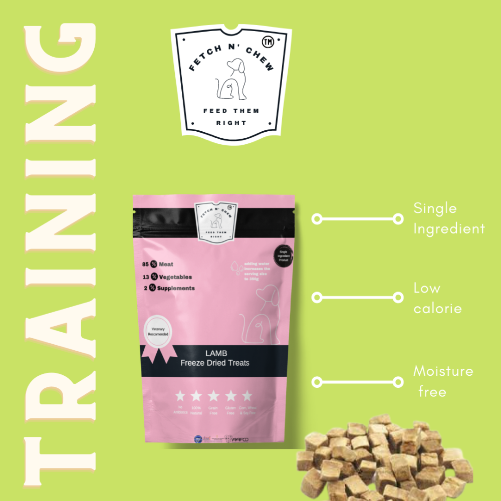 Fetch n Chew Lamb Freeze Dried Dog Treat