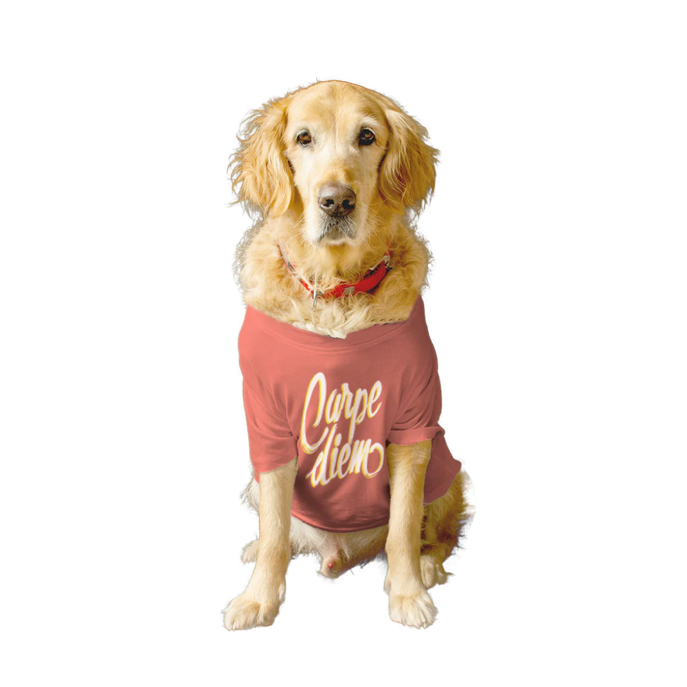 Ruse "Carpe Diem" Printed Half Sleeves T-Shirt for Dogs (Salmon)